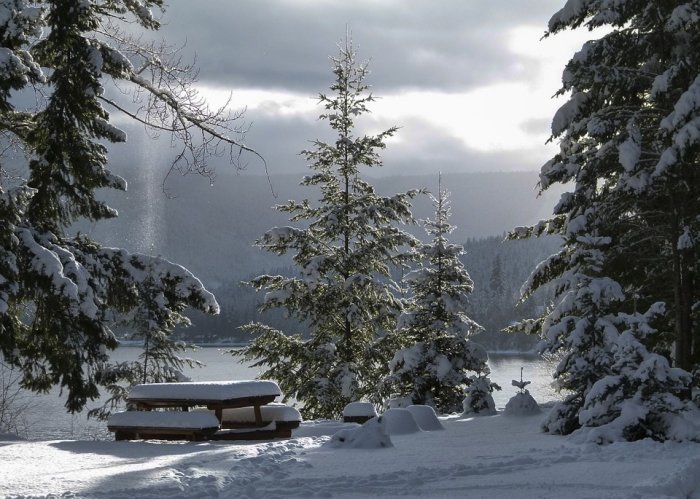 Winter Season Cold Snow Icy Landscape Scenery